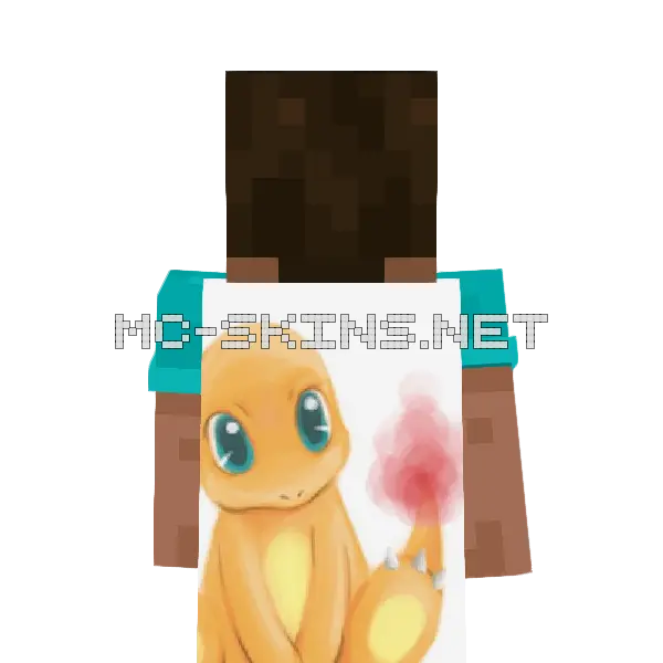 Charmander cape, outside and lining