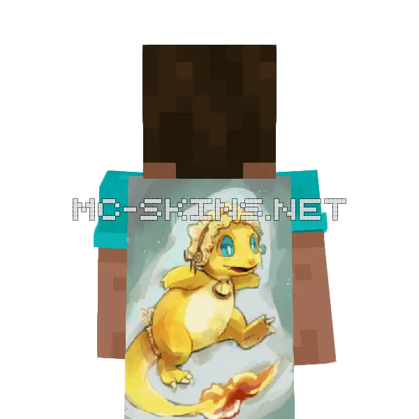 Charmander Shiny cape, outside and lining