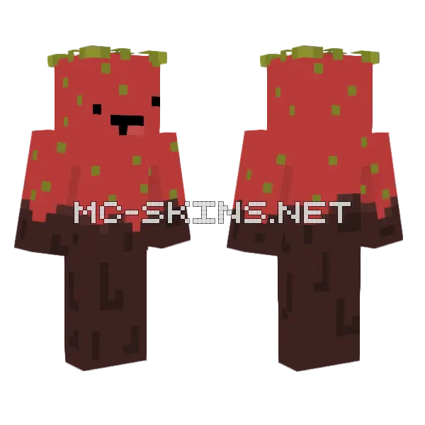 Chocolate Dipped Strawberry Minecraft skin, front and back