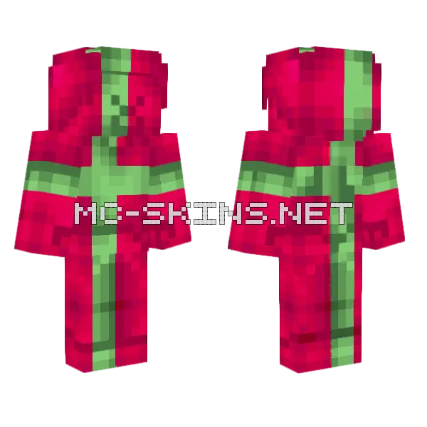 Christmas Present Steve 20 Minecraft skin, front and back