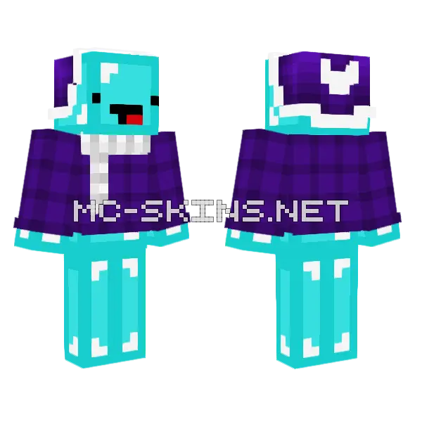 Christmas Skeppy Purple Flannel Minecraft skin, front and back