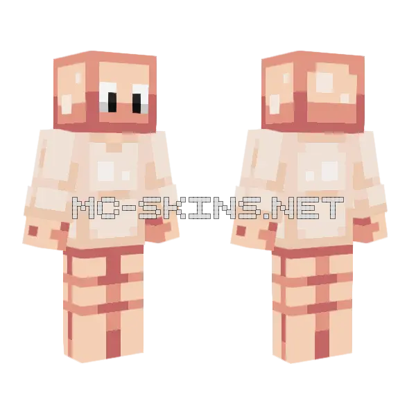 Cinnamon Hive Style Minecraft skin, front and back