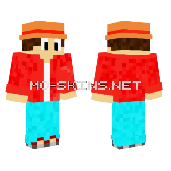Classic Vacation Skin, front and back