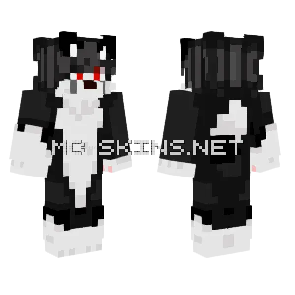 Coiso Coisadex Minecraft skin, front and back