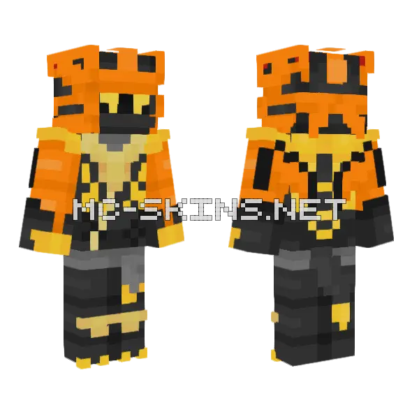 Cole Draconus Form, front and back