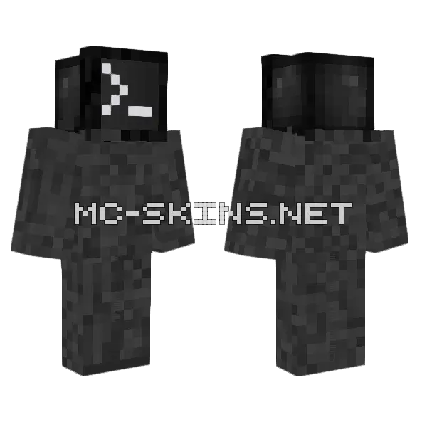 Computer Skin Minecraft skin, front and back