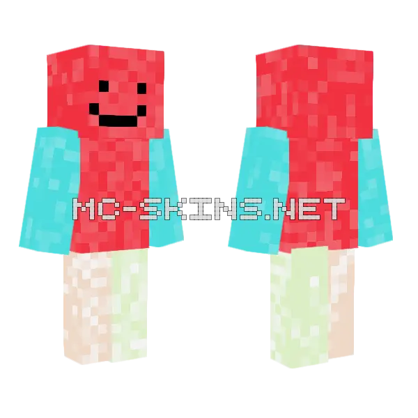 Concrete Powder Edition Boy Minecraft skin, front and back