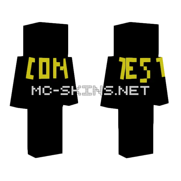 Contest Results Minecraft skin, front and back