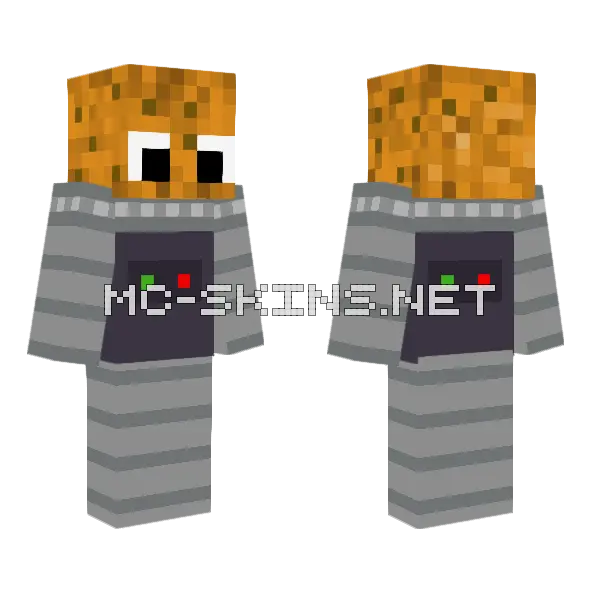 Cookie Monster Robot Minecraft skin, front and back