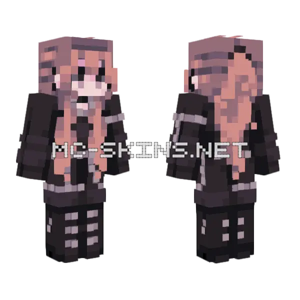 Cool Assassin Girl Minecraft skin, front and back
