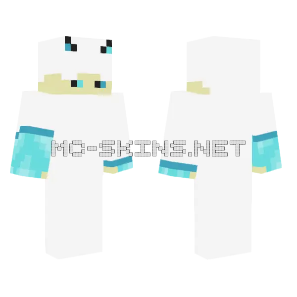 Crap Skin Minecraft skin, front and back