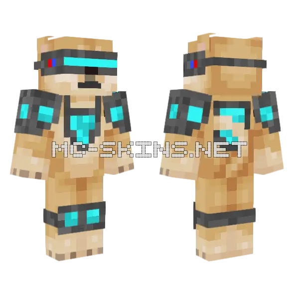 Cyberpunk Doge Minecraft skin, front and back