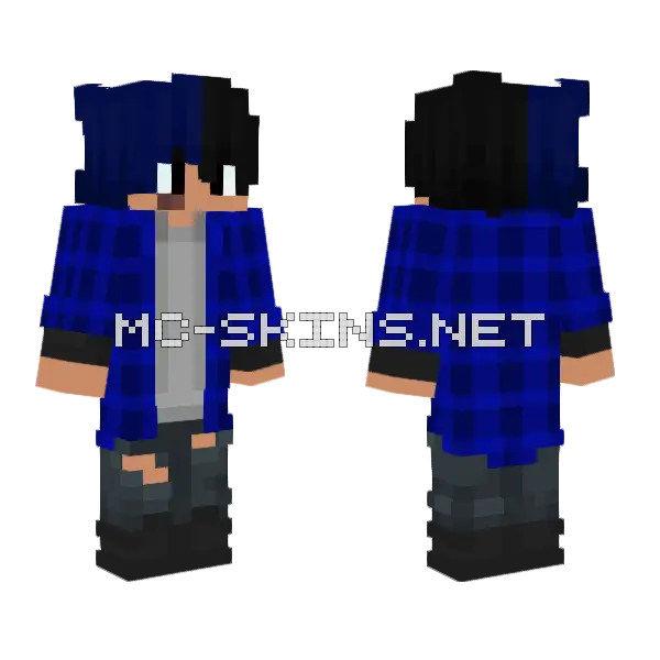 Damian Blue Plaid Skin Minecraft skin, front and back