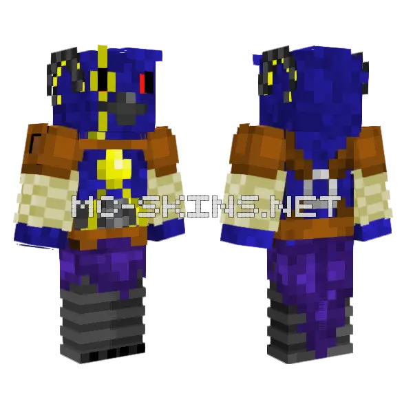 Dark Mage Robes, front and back