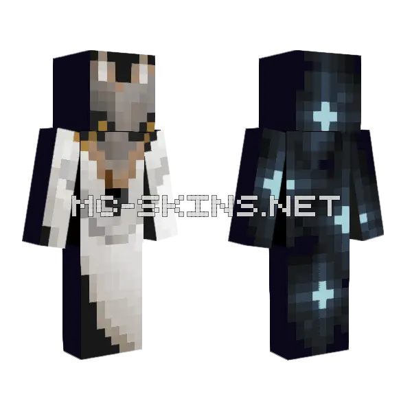 Dark Penguin Suit Minecraft skin, front and back