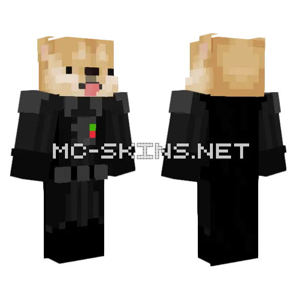 Darth Vader Doge Minecraft skin, front and back