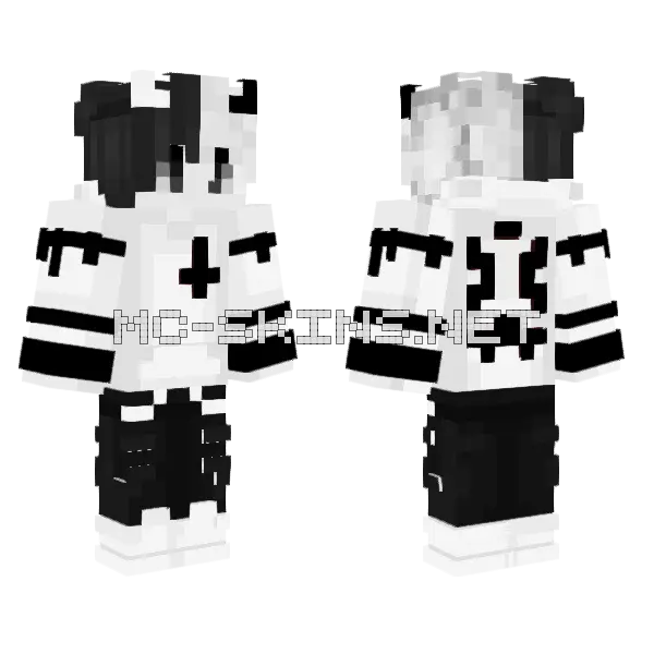 Dcistens Minecraft skin, front and back