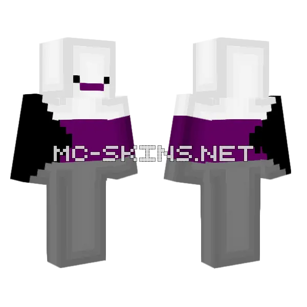 Demi Pride Flag Minecraft skin, front and back