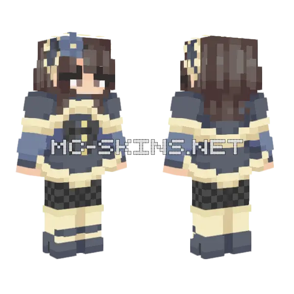 Demotivated RCE Minecraft skin, front and back