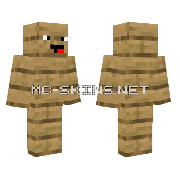 Derpy Wood Planks Skin Minecraft skin, front and back