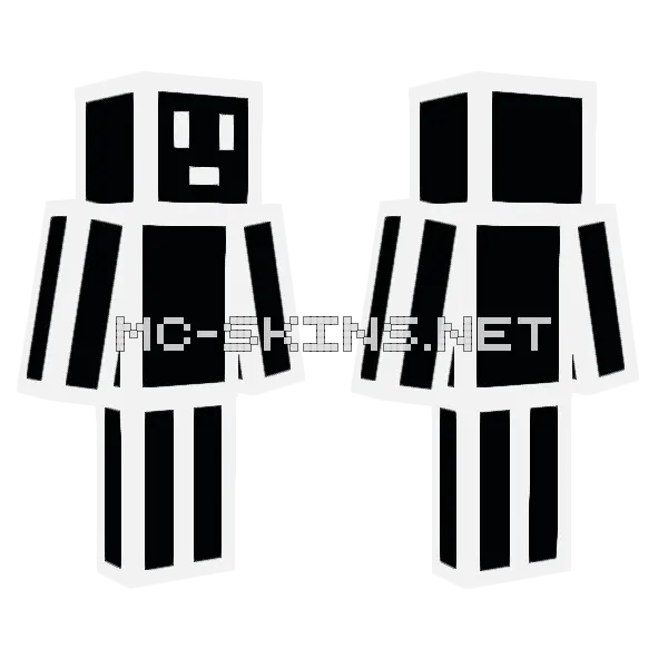 Different Minecraft skin, front and back