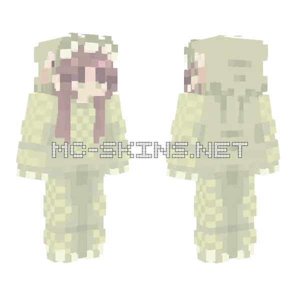 Dino D Minecraft skin, front and back
