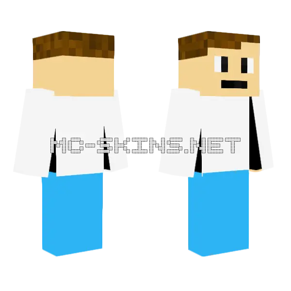Doctor Hat Skin Minecraft skin, front and back