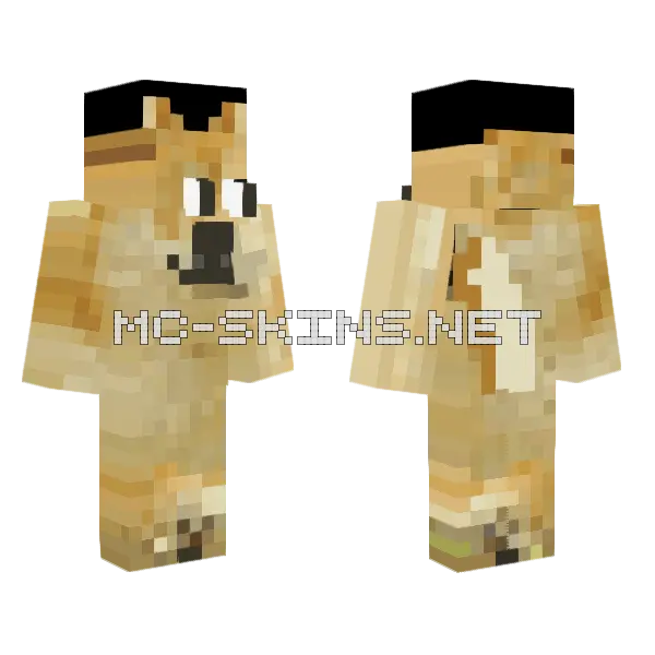 Doge Dog Skin Minecraft skin, front and back