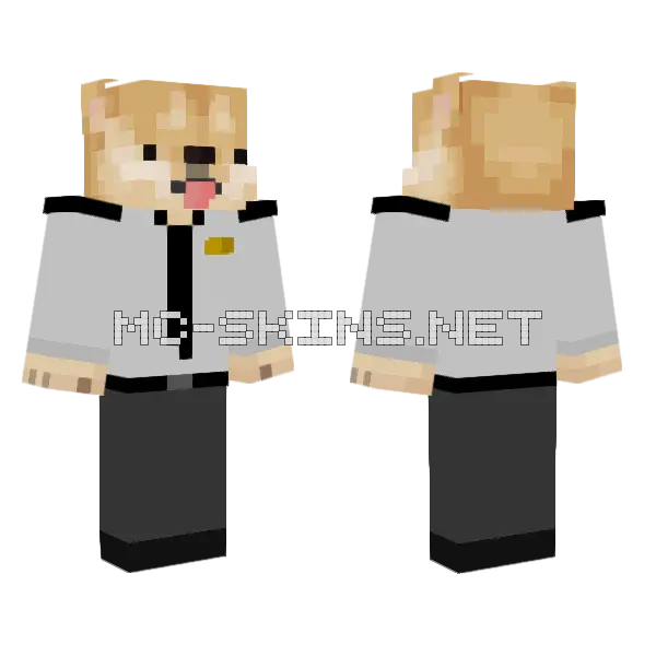 Doge Dog Skin Minecraft skin, front and back