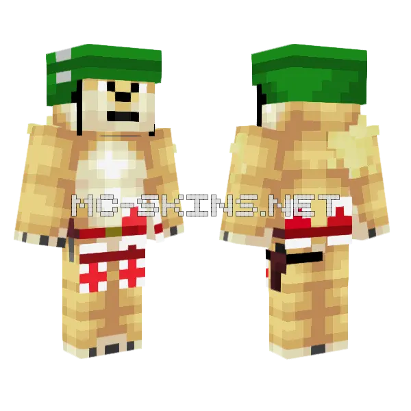 Doge Medic Minecraft skin, front and back