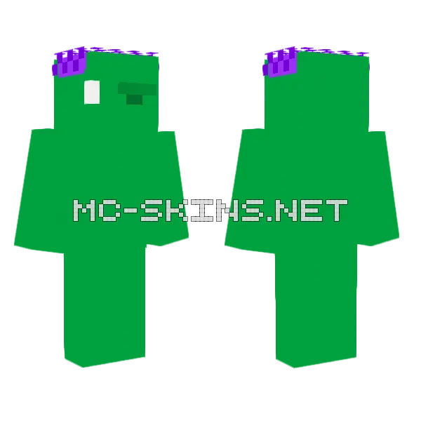 Don't Panic Hes Not Aggresiv Minecraft skin, front and back