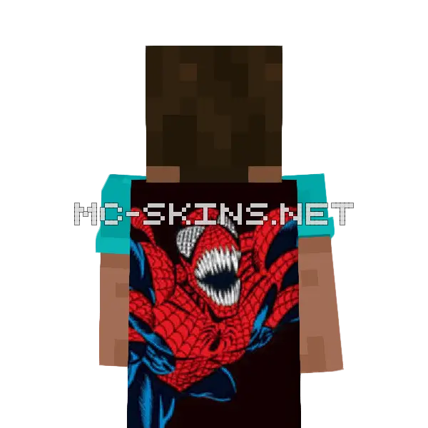 Doppelganger cape, outside and lining