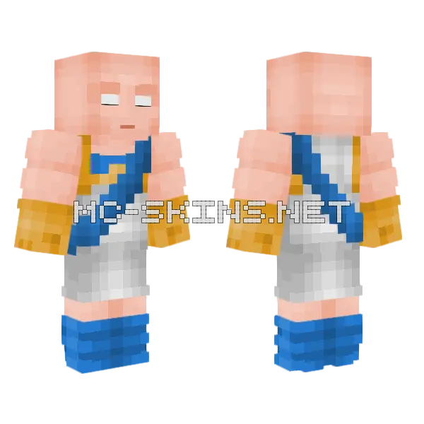 Dragon Ball Minecraft skin, front and back