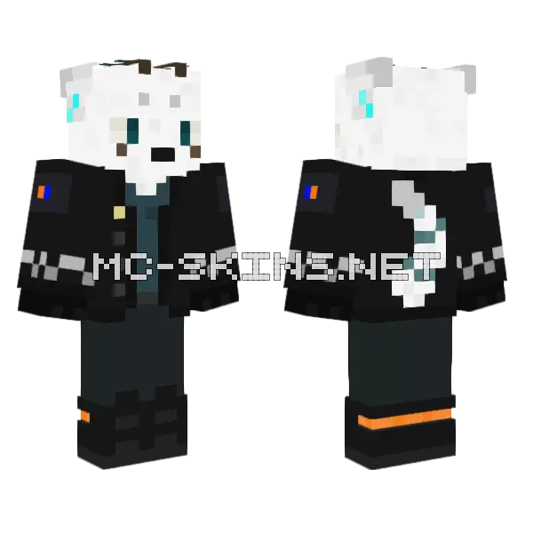 Dragon Tegips V2 Minecraft skin, front and back