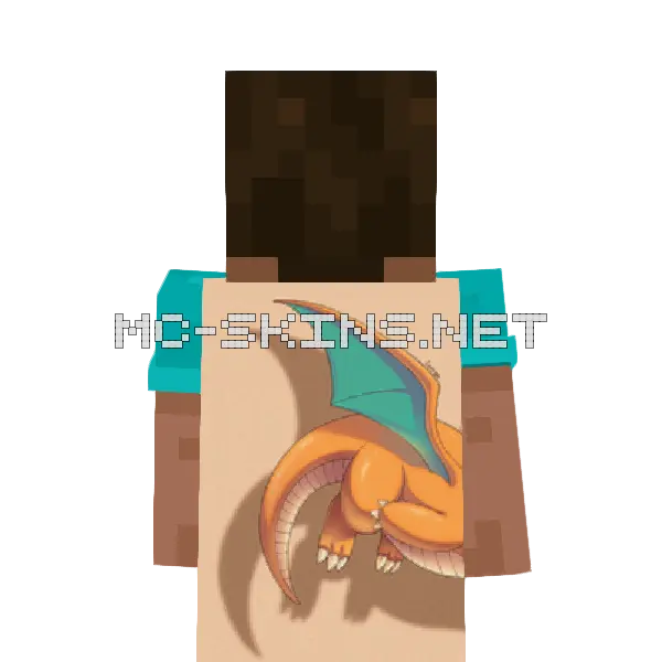 Dragonite Flying cape, outside and lining
