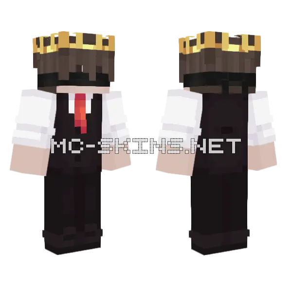Drbehrad Minecraft skin, front and back