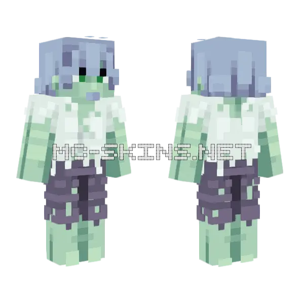 Dried Kelp Please Minecraft skin, front and back