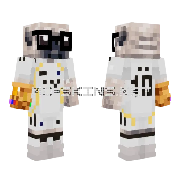 dsdsa Minecraft skin, front and back