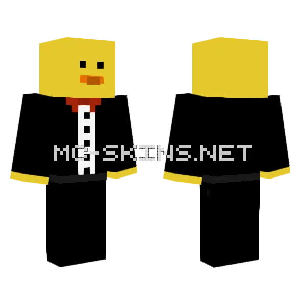 Duck 222222 Minecraft skin, front and back