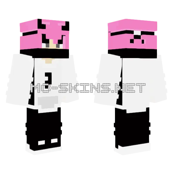 Eboy Ninja Fles Minecraft skin, front and back