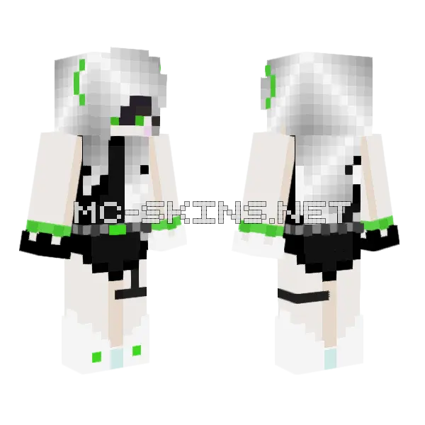 Eclipse Skin Minecraft skin, front and back