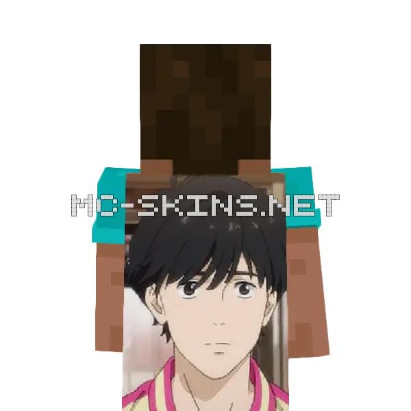 Eiji Okumura cape, outside and lining