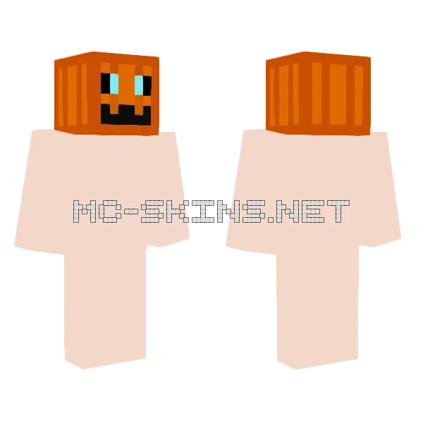 Elyra Bloodmoon Pumpkin Mutant Minecraft skin, front and back