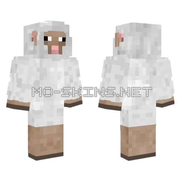 Emzoshepemzoshepemzoshepbaaaaaaaaaah Two Minecraft skin, front and back