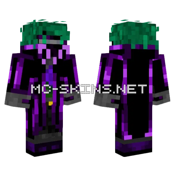 Endarian Shiny Minecraft skin, front and back