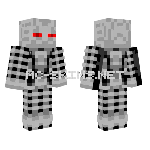 Enderbot Endoskeleton Minecraft skin, front and back