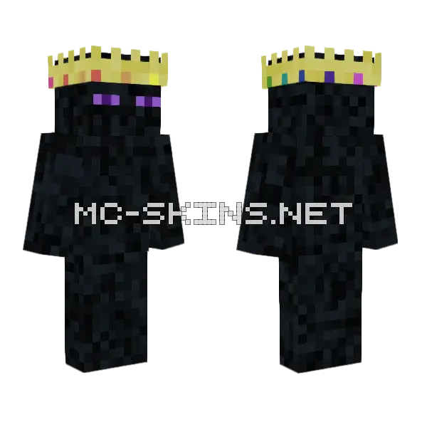 Enderman With Rainbow Crown Minecraft skin, front and back