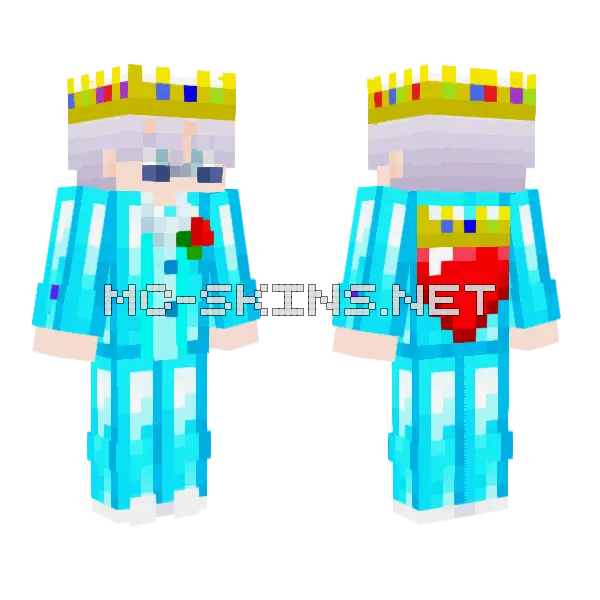 Enriched King Swight Hero Minecraft skin, front and back