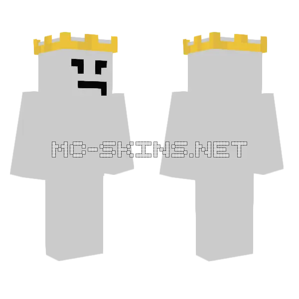 Entinty Grey Figure Minecraft skin, front and back