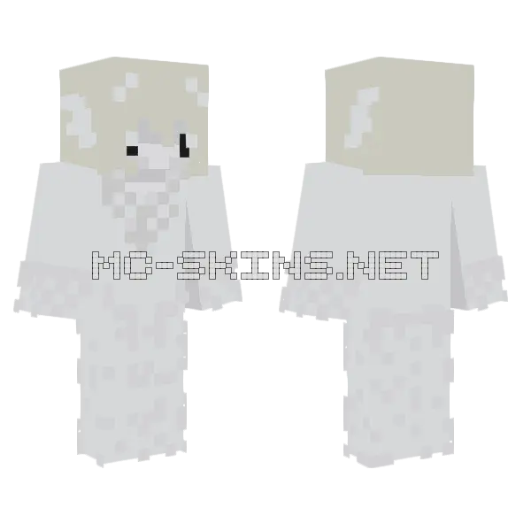 Epic Cool Dude Shark Minecraft skin, front and back